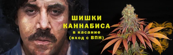 шишки Алексеевка