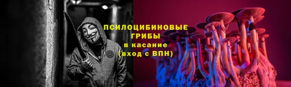 PSILOCYBIN Алексин