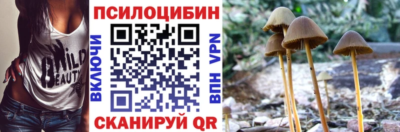 Псилоцибиновые грибы GOLDEN TEACHER  купить наркотик  Динская 
